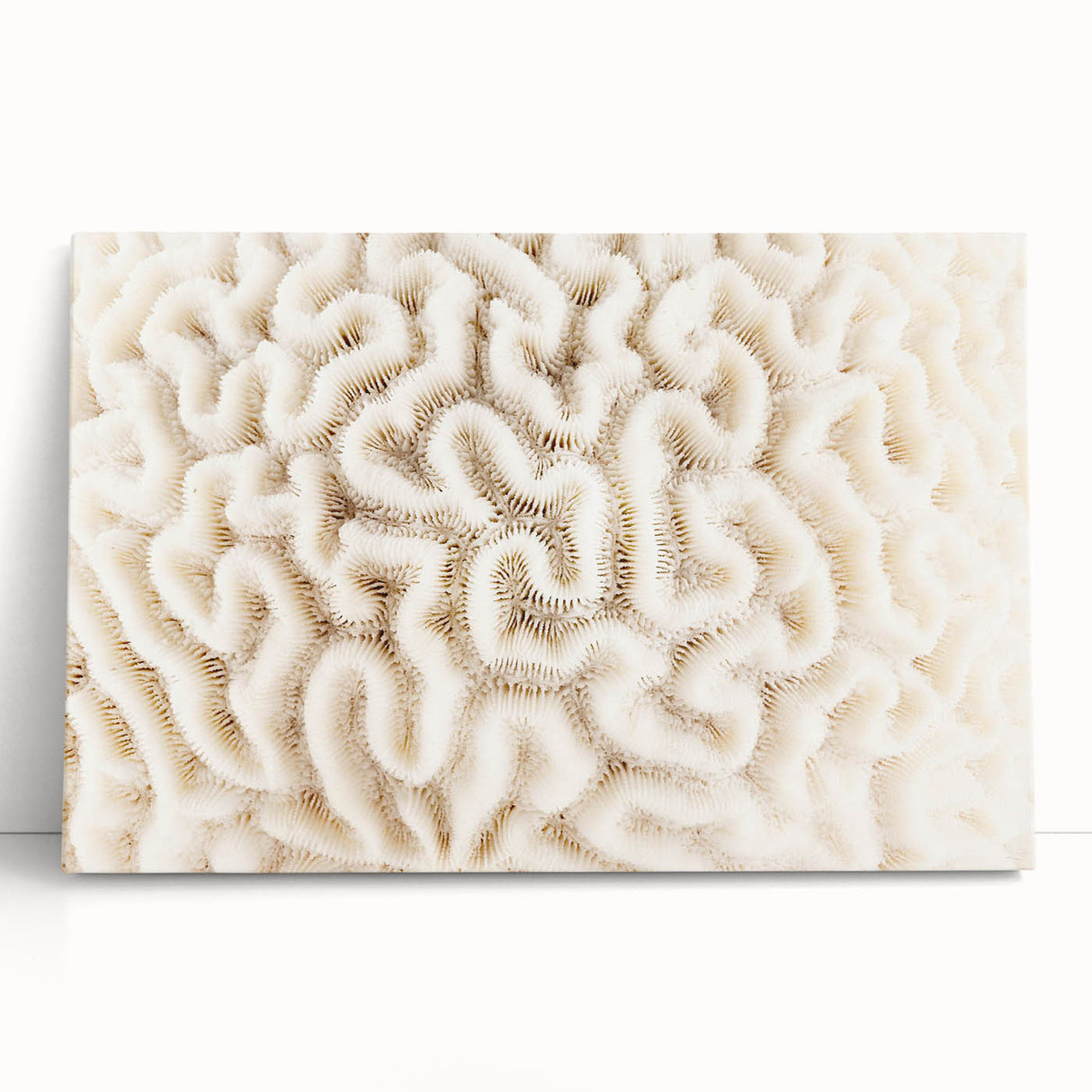 Vibrant stretched canvas wall art depicting a colorful coral reef scene, showcasing intricate marine life details with shades of blue, orange, and yellow. Perfect for ocean-themed decor.