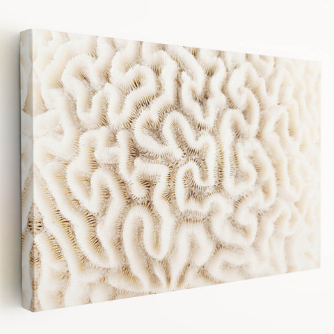 Stretched canvas wall art showcasing a vibrant marine life coral design, featuring intricate details and vivid colors, perfect for ocean-themed decor.