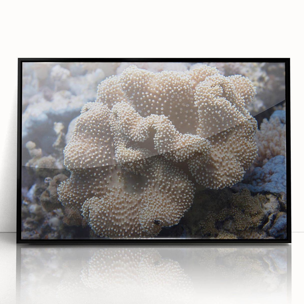 Framed acrylic wall art showcasing a vibrant marine life coral design, featuring colorful oceanic elements against a sleek black frame, perfect for coastal decor.