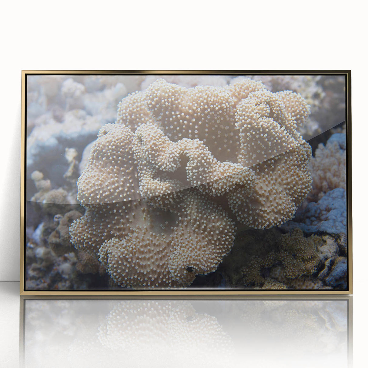 Framed acrylic wall art featuring a vibrant marine life coral design with gold accents, ideal for enhancing coastal-themed interiors and adding a touch of elegance.
