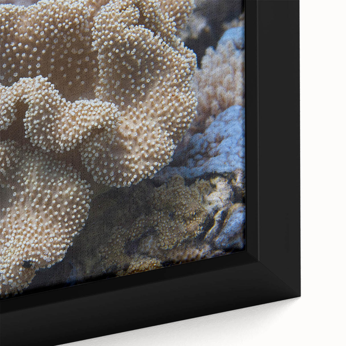 Vibrant close-up of a framed canvas wall art piece showcasing intricate coral reef marine life design in rich blues and greens, perfect for ocean-themed decor.