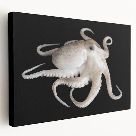 Stretched canvas wall art showcasing a vibrant octopus design in shades of blue and orange, perfect for marine life enthusiasts, enhancing coastal decor.