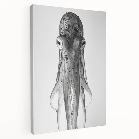 Colorful octopus design on stretched canvas wall art, showcasing intricate marine life details and vibrant hues, ideal for coastal-themed decor.