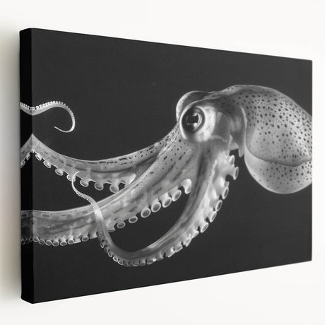 Vibrant octopus design on stretched canvas wall art, showcasing detailed marine life with vivid colors, perfect for ocean-themed home decor or marine enthusiasts.