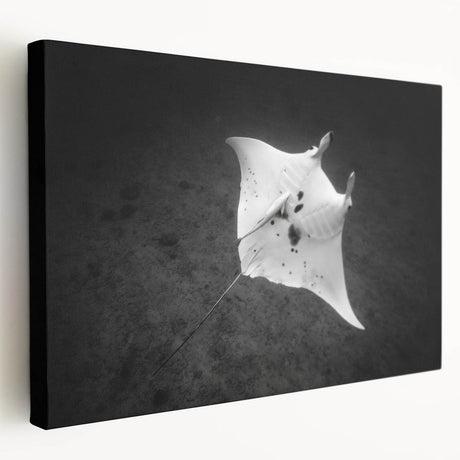 Stretched canvas wall art showcasing a vibrant marine life design featuring rays in a blue ocean setting, perfect for coastal decor enthusiasts.