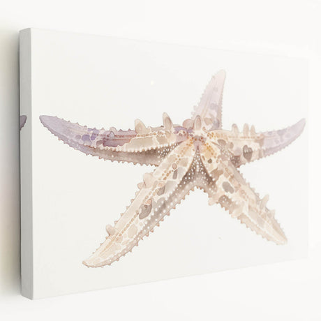 Colorful marine life starfish design on stretched canvas wall art, showcasing vibrant blues and oranges, perfect for coastal home decor.