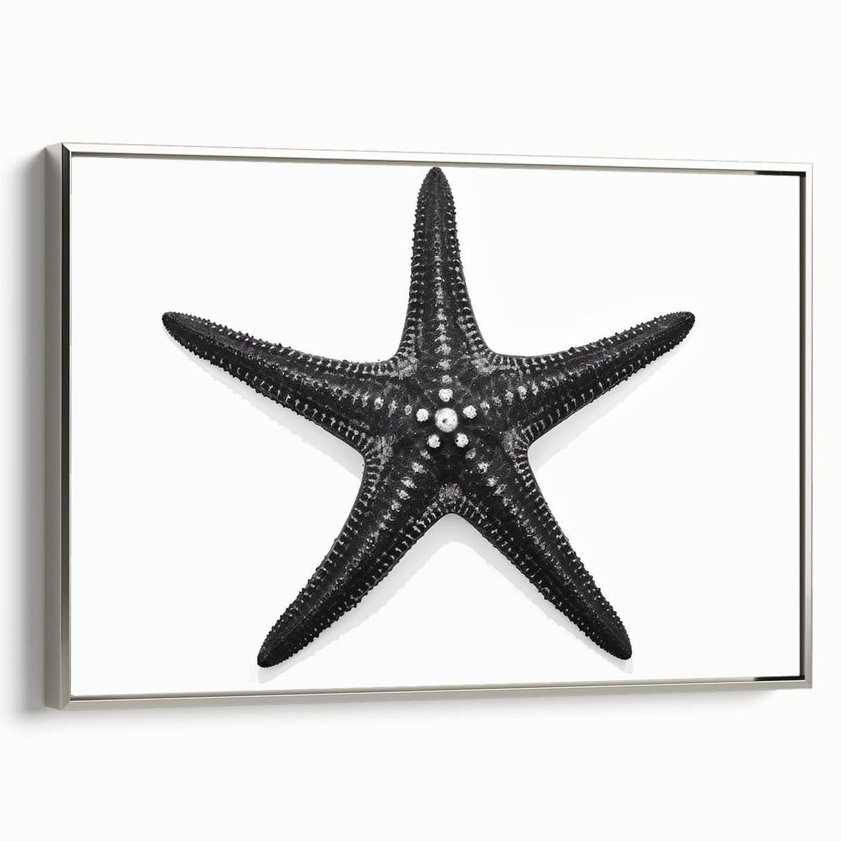 Framed canvas wall art showcasing a vibrant marine life starfish design with a sleek silver frame, perfect for ocean-themed decor in living spaces.