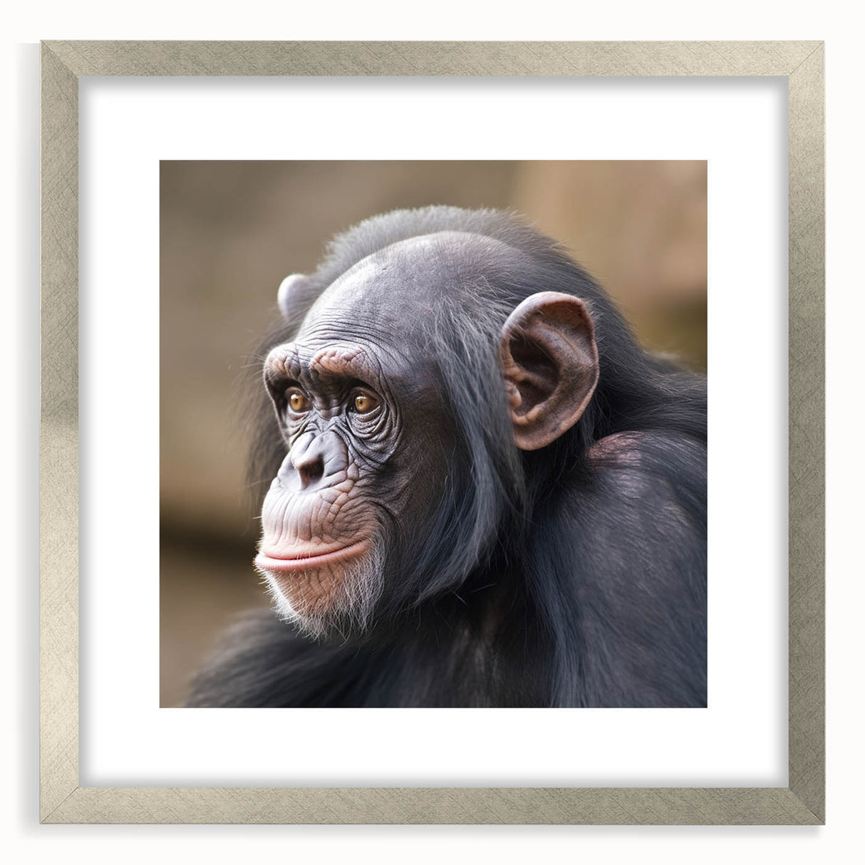 Framed wall art showcasing a whimsical monkey and ape chimpanzee design, featuring a sleek silver frame and mat, ideal for animal-themed decor.