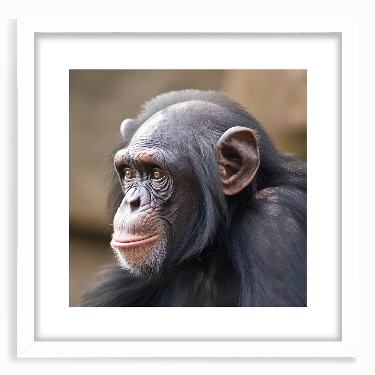 Framed wall art collection featuring a playful monkey and chimpanzee design against a white background, perfect for adding a whimsical touch to children's rooms or playful spaces. The artwork is ready to hang and adds a vibrant accent to any decor.