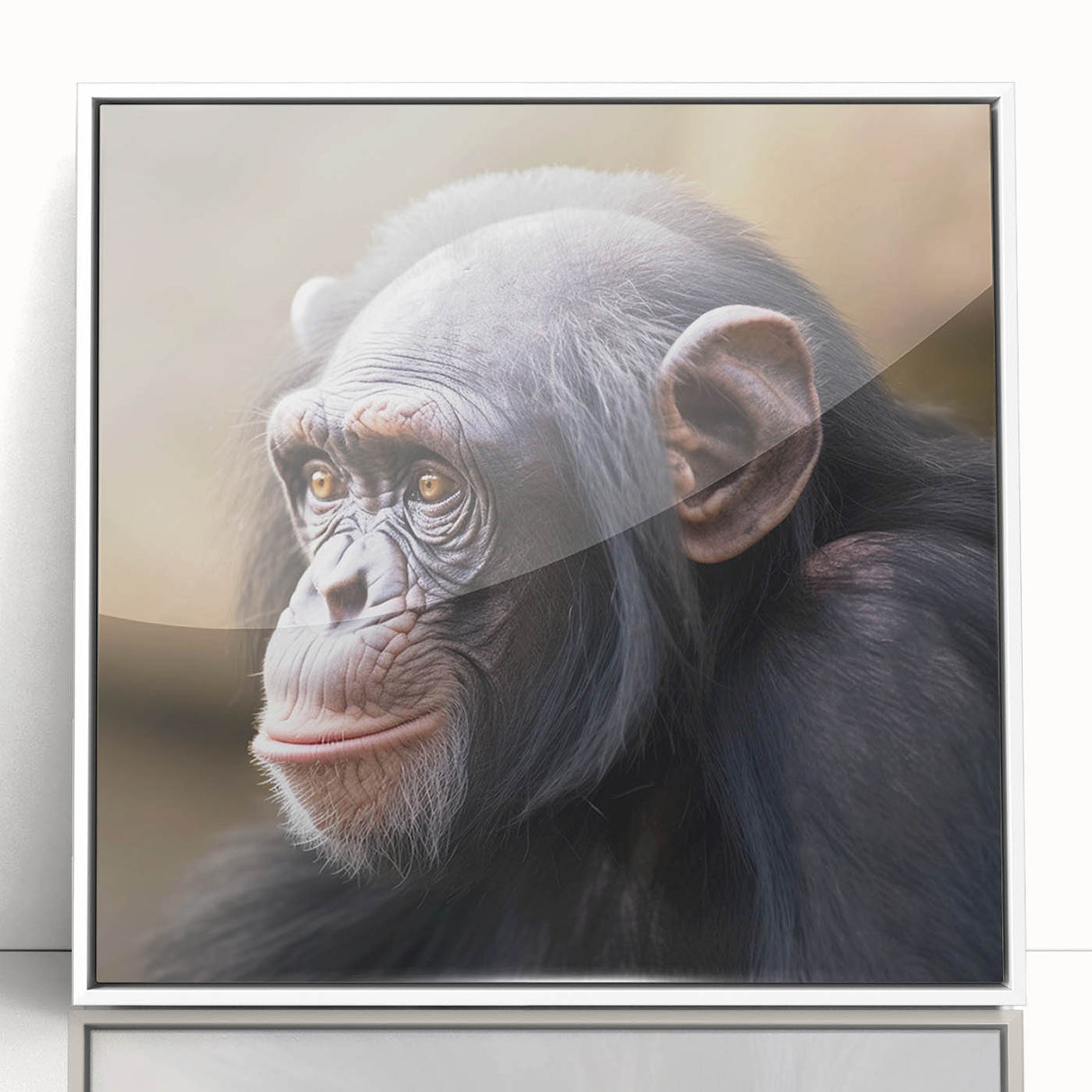 Framed wall art featuring a stylish monkey and ape design, displayed in a sleek white frame with acrylic glass, perfect for modern decor enthusiasts.