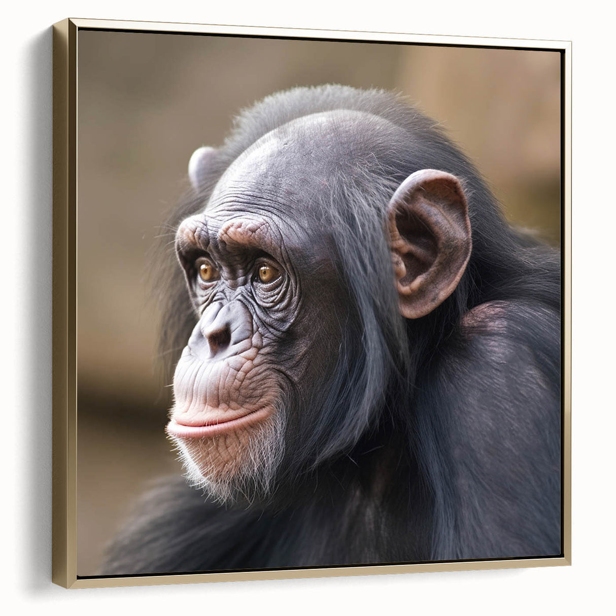 Framed wall art collection featuring a vibrant chimpanzee design with intricate details and a gold frame, perfect for enhancing modern home decor.