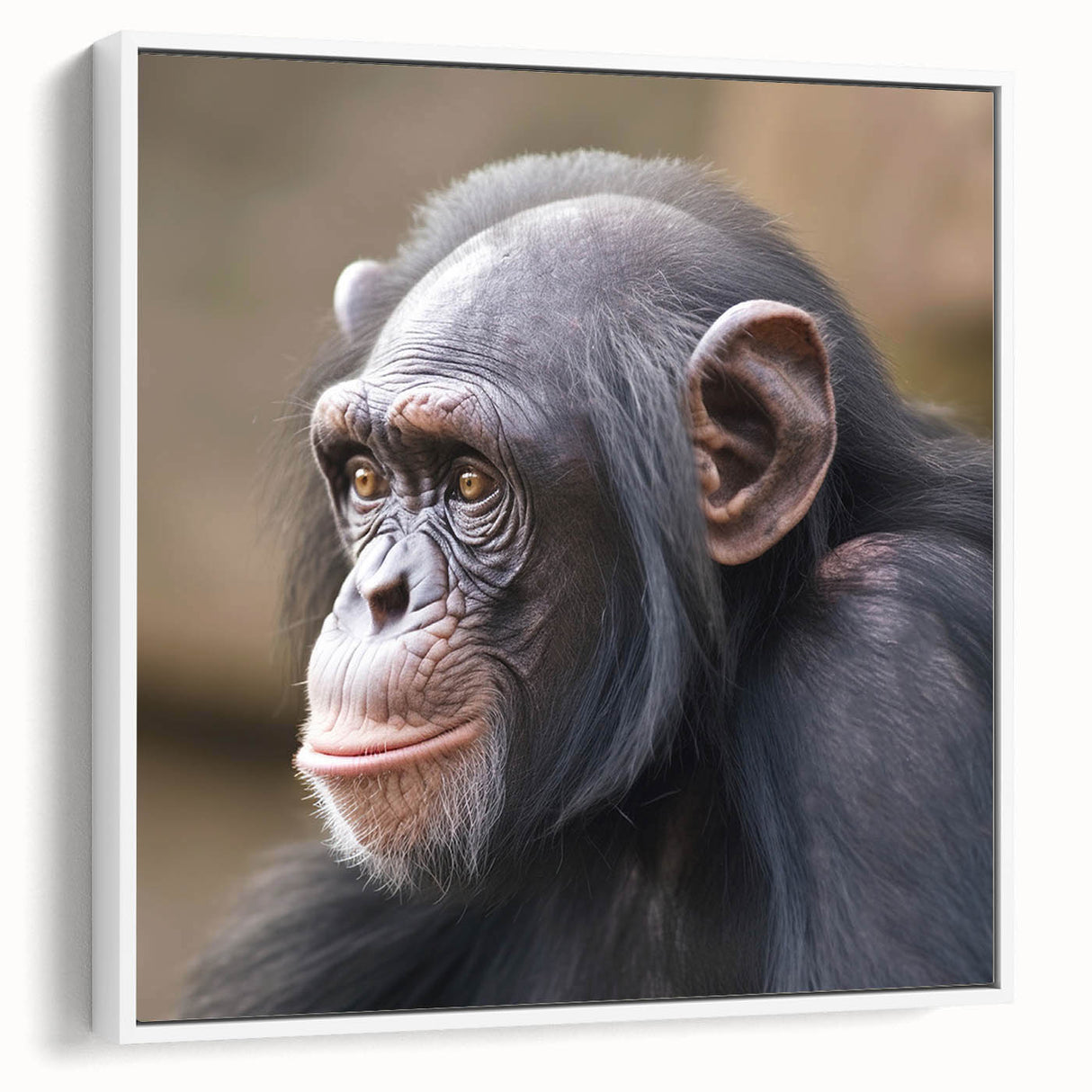 Framed canvas wall art featuring a whimsical chimpanzee design, showcasing vibrant colors and intricate details, perfect for playful home decor in a modern setting.