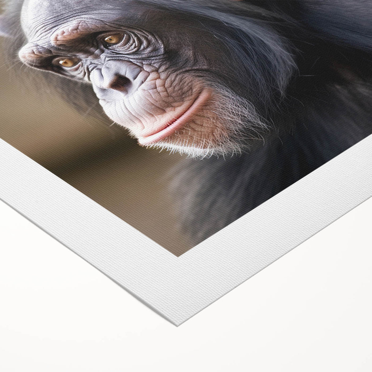 Vibrant rolled canvas wall art showcasing a playful monkey and chimpanzee design, perfect for animal lovers and modern decor, featuring rich colors and detailed illustrations.