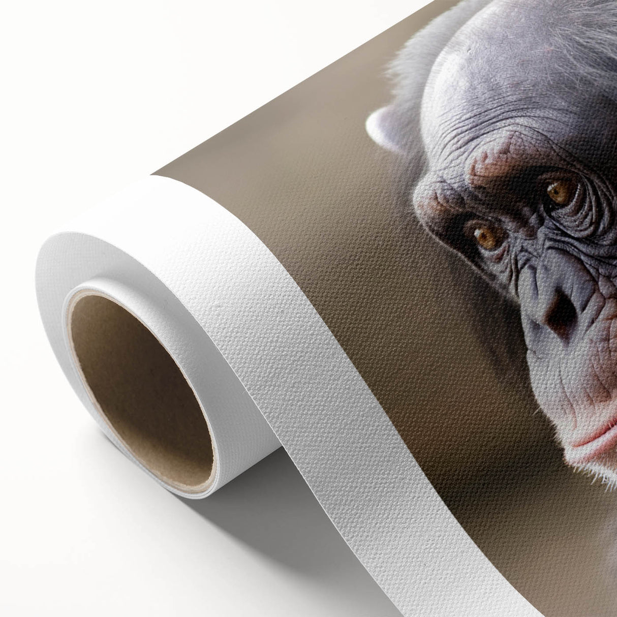 Colorful rolled canvas showcasing a whimsical monkey and ape chimpanzee design, perfect for adding a playful touch to home decor, delivered in a protective cardboard tube.