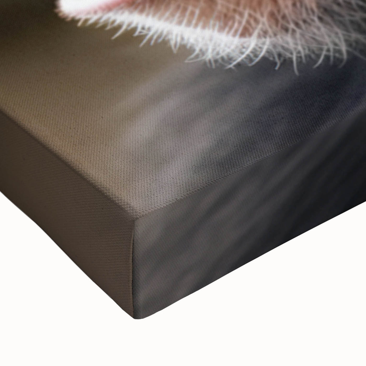 Close-up of a vibrant stretched canvas wall art featuring a playful monkey and chimpanzee design, showcasing intricate details and vivid colors, perfect for animal lovers' decor.