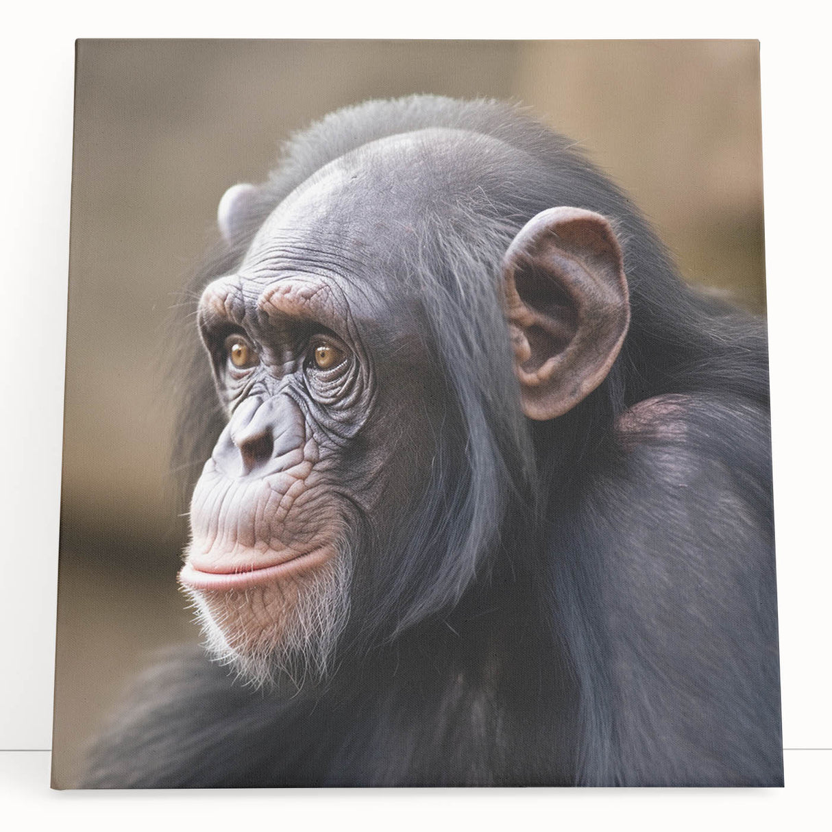 Colorful stretched canvas wall art featuring a playful chimpanzee design, ideal for children's rooms or animal-themed decor. The vibrant colors and whimsical expression add a cheerful touch to any space.