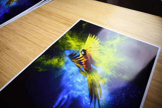 Glossy photo paper print