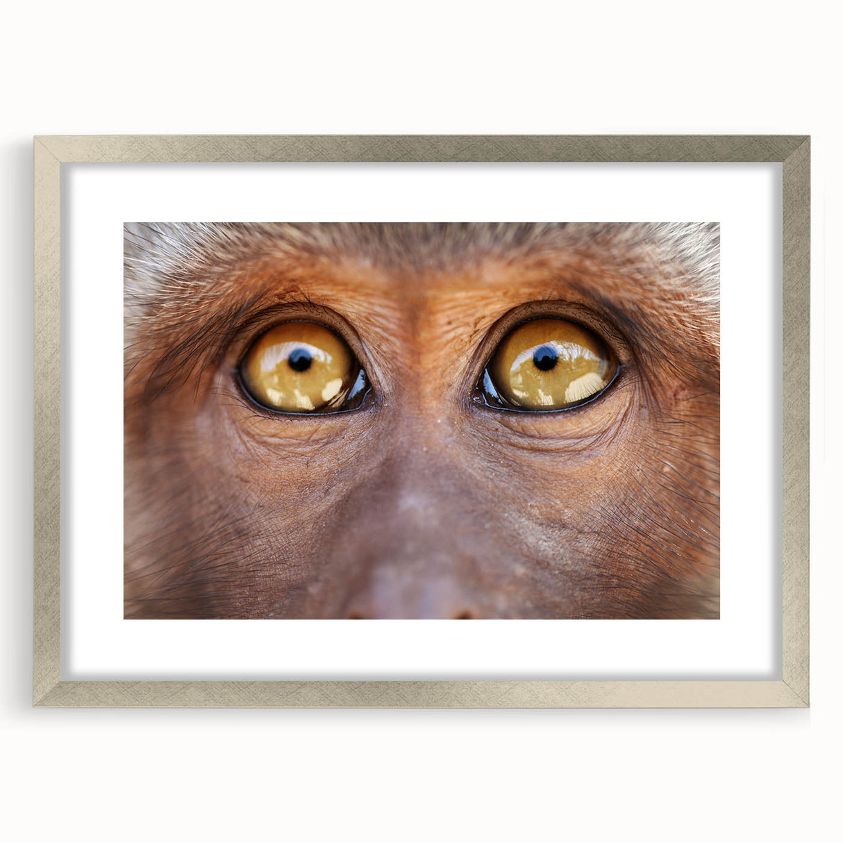 Textured art print of an abstract bird design in muted earth tones, framed with a silver mat, suitable for bedroom art.