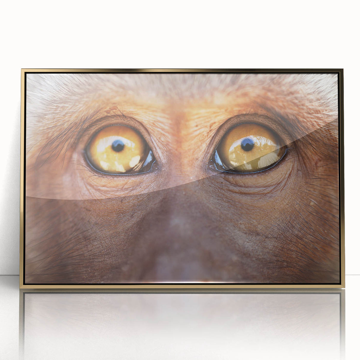 Mid-century modernist art featuring a close-up of a bird in muted earth tones, acrylic print framed in gold.