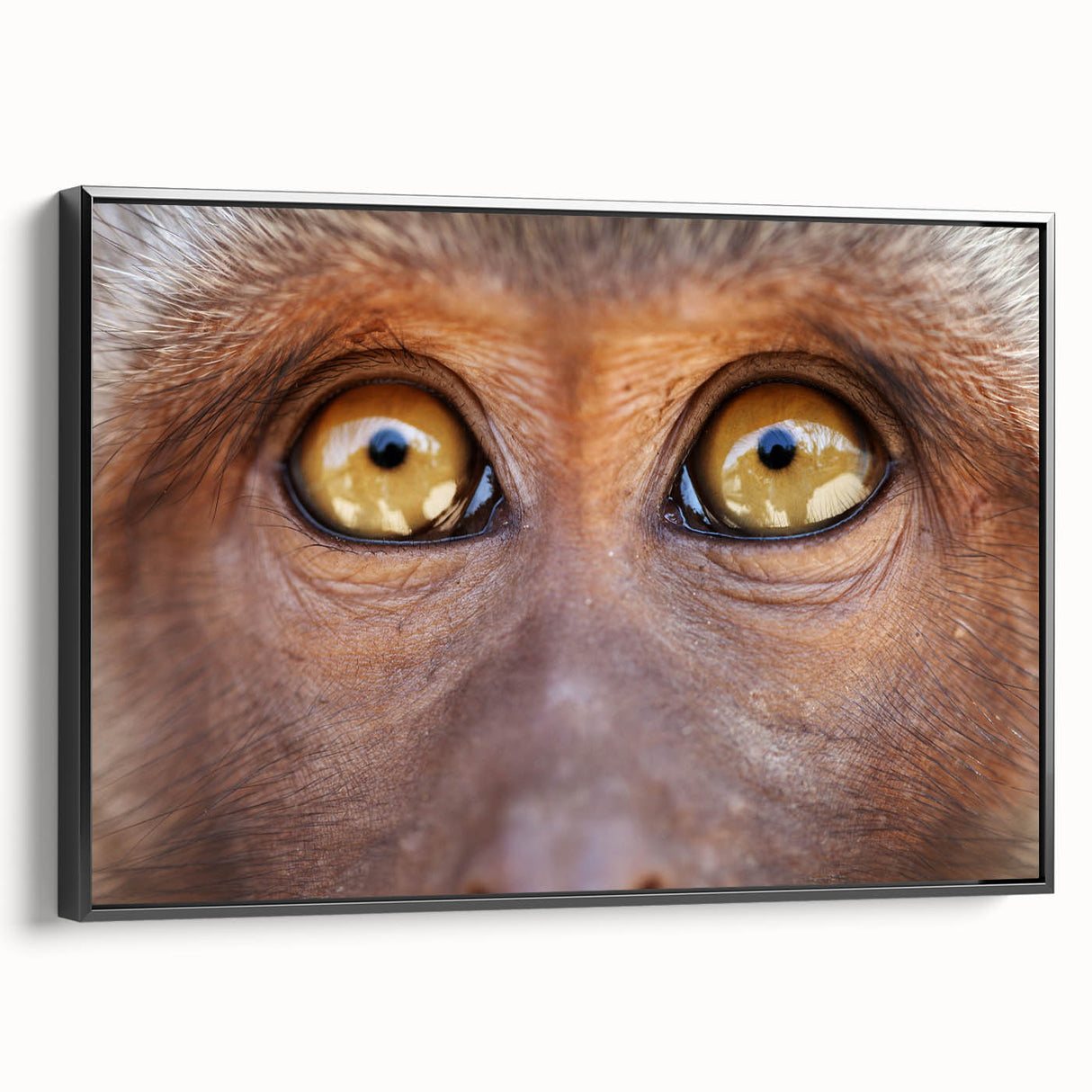 Black and white framed canvas of a bird in flight, ideal for bedroom wall decor, in a vintage poster style.