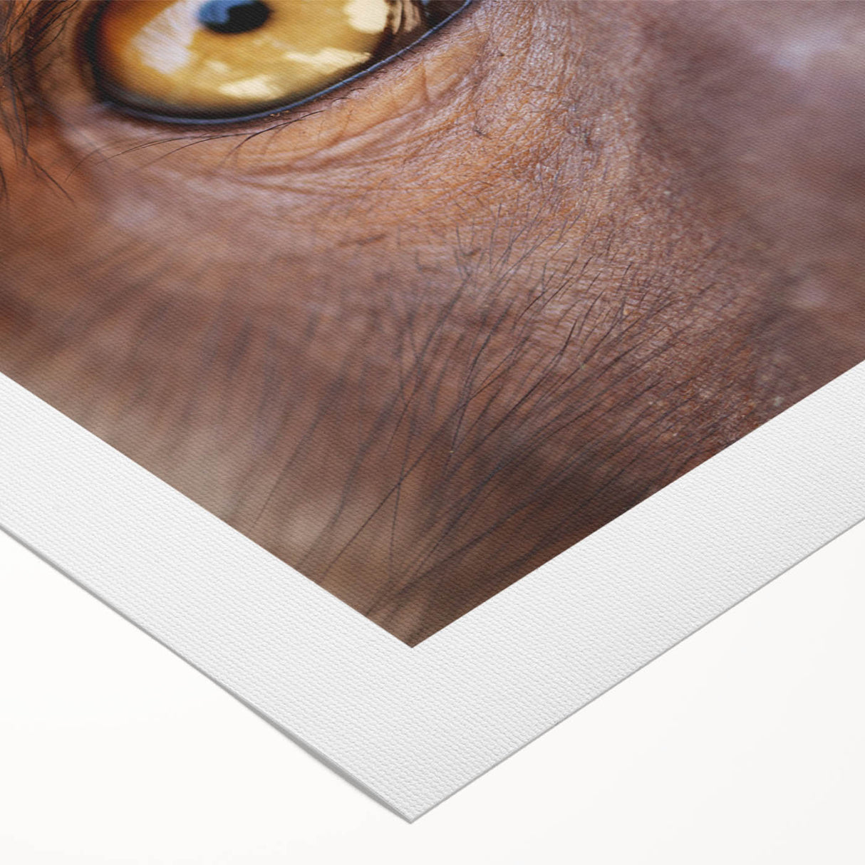 Art deco poster featuring a stylized peacock in pastel shades on rolled canvas, suitable for dining room decor.