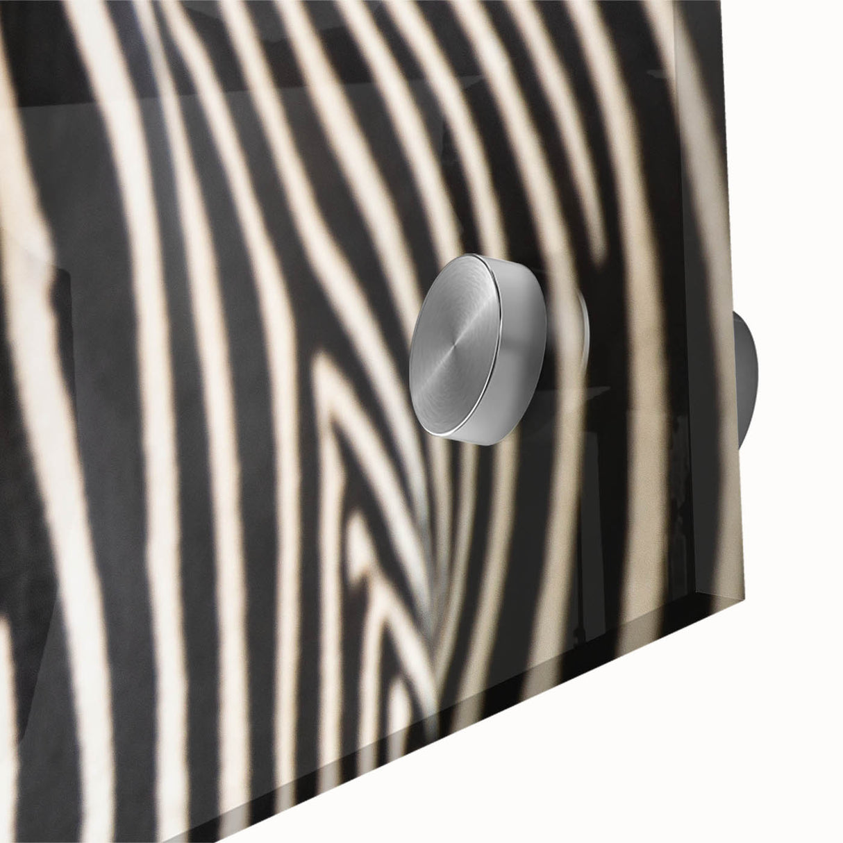 Close-up of a bird in muted earth tones, acrylic glass print, ideal for dining room art with a mid-century modernist style.