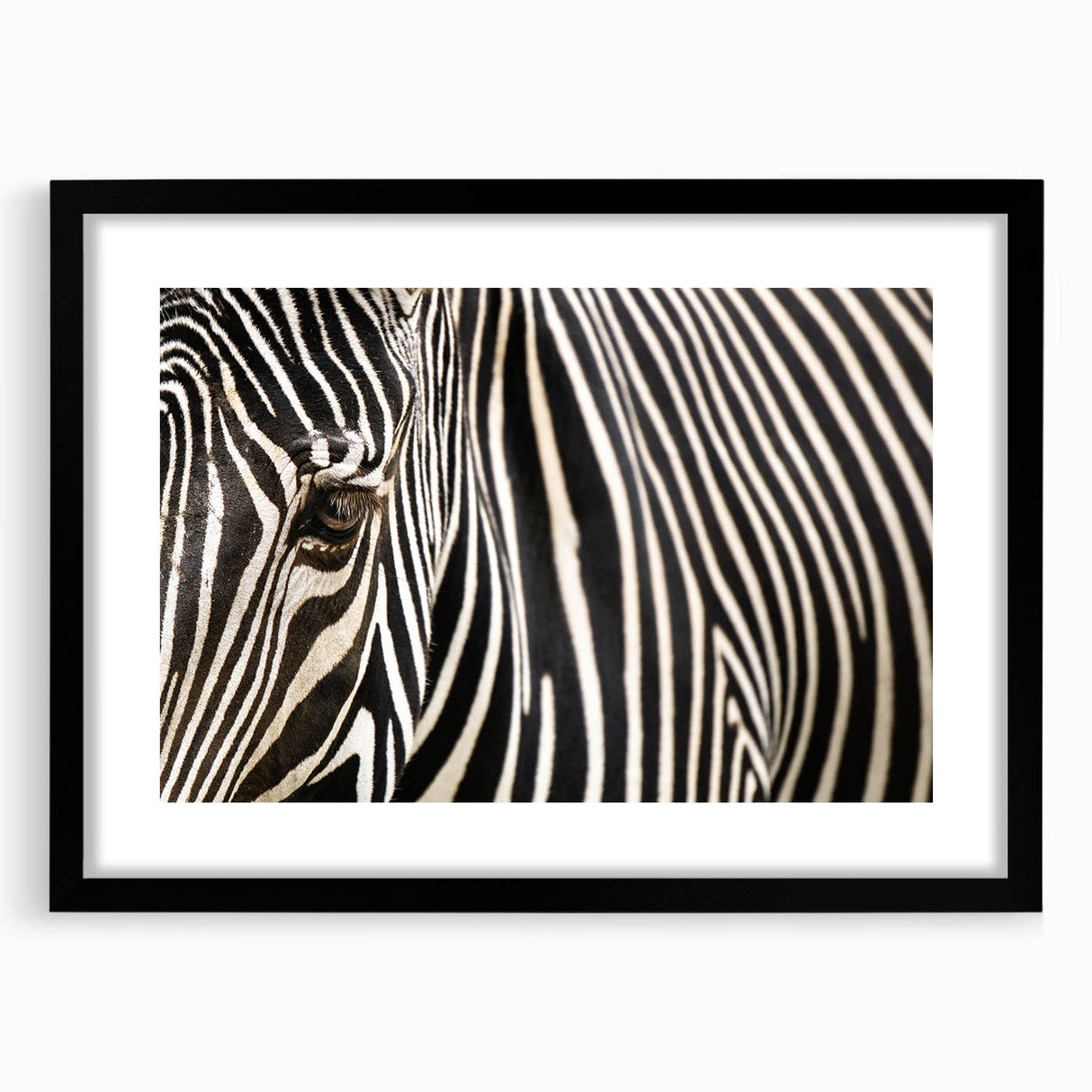 Extra large abstract art print of colorful, textured birds, framed in black, ideal for living room decor.