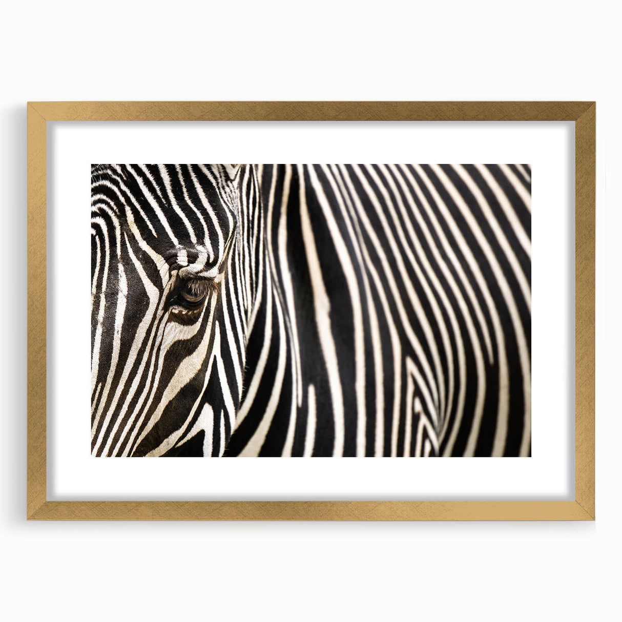 Extra large abstract art print of birds in flight, textured design in gold frame, ideal for living room decor.