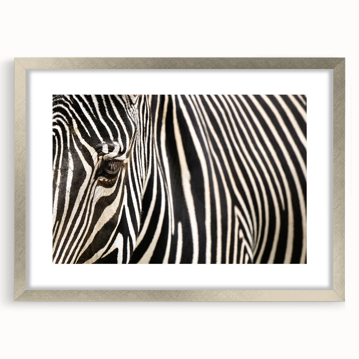 Close-up of a bird in textured art style, featuring soft gray and white tones on a silver-framed canvas.