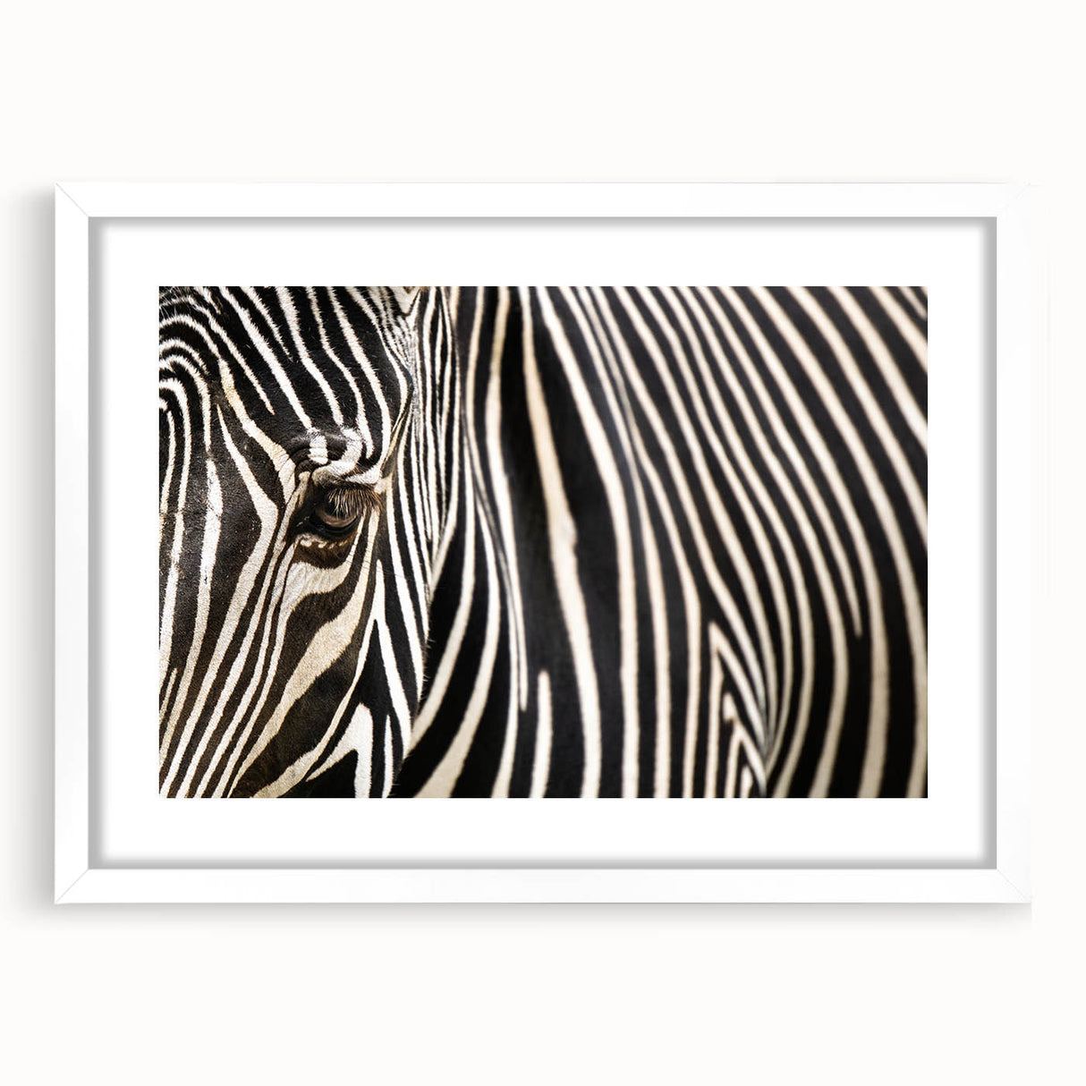 Abstract art print of birds in soft pastel shades on a white framed canvas, ideal for bedroom or dining room decor.