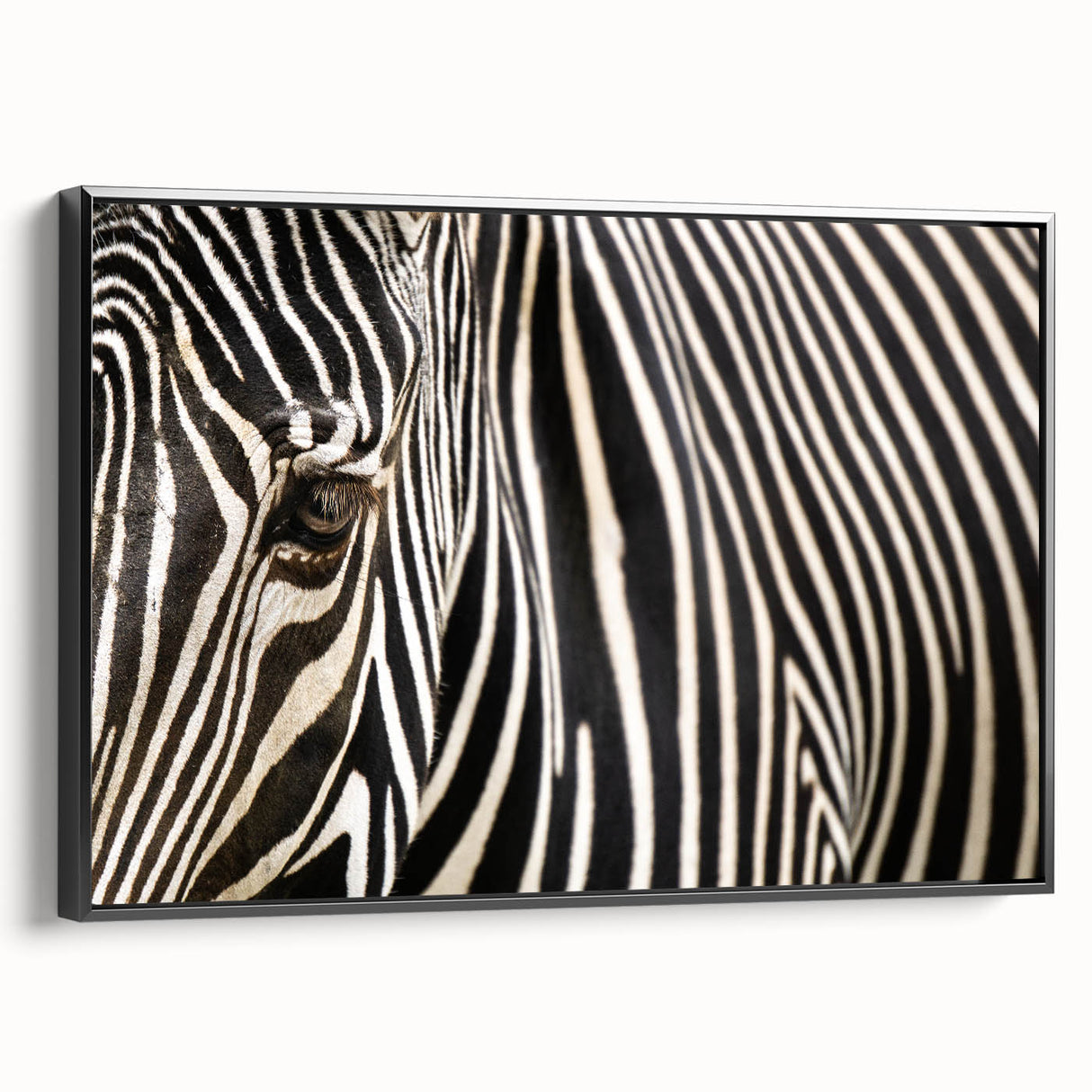 Framed canvas featuring a black and white vintage poster art of birds in flight, ideal for bedroom wall decor.