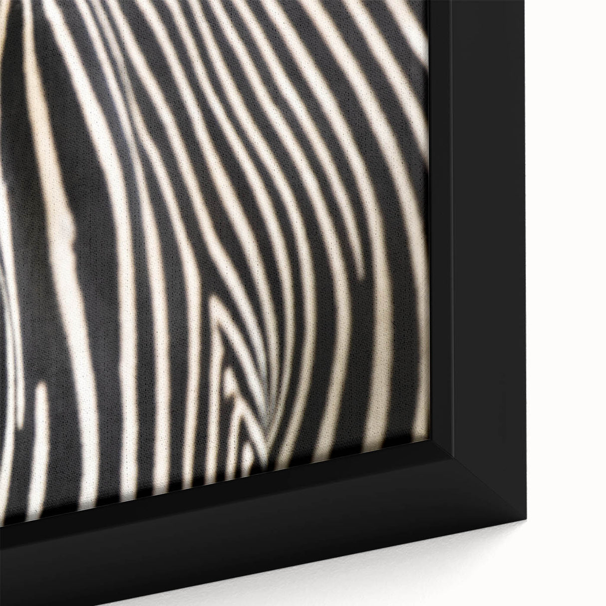 Close-up of a colorful bird on black framed canvas, ideal for living room decor with vibrant and textured art elements.