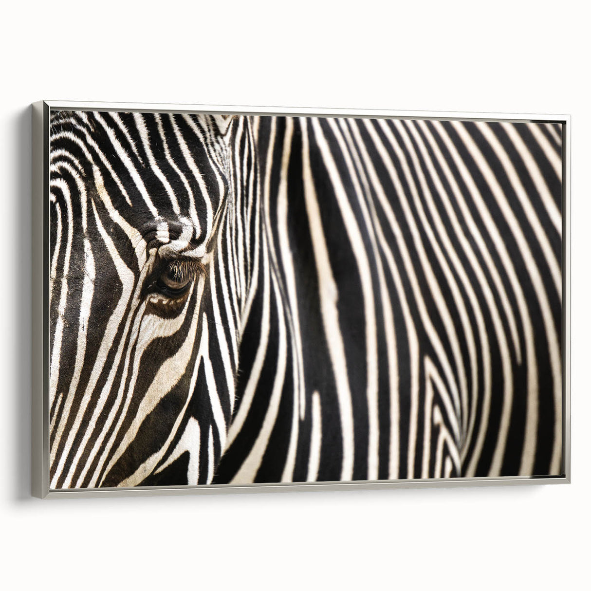 Framed canvas featuring a vintage poster of a colorful landscape with birds.