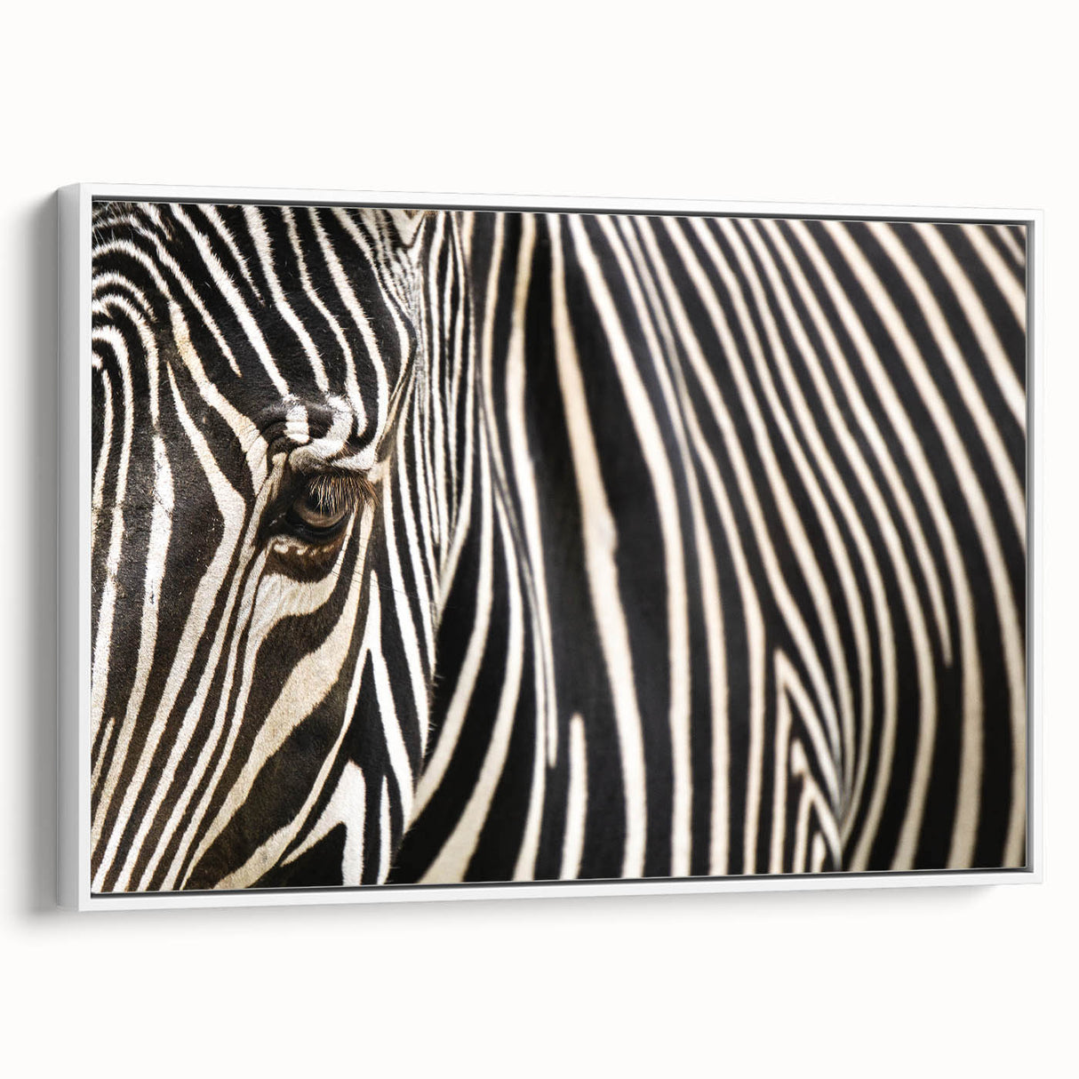 Vintage poster art of colorful birds on a black background, framed canvas, ideal for living room decor.