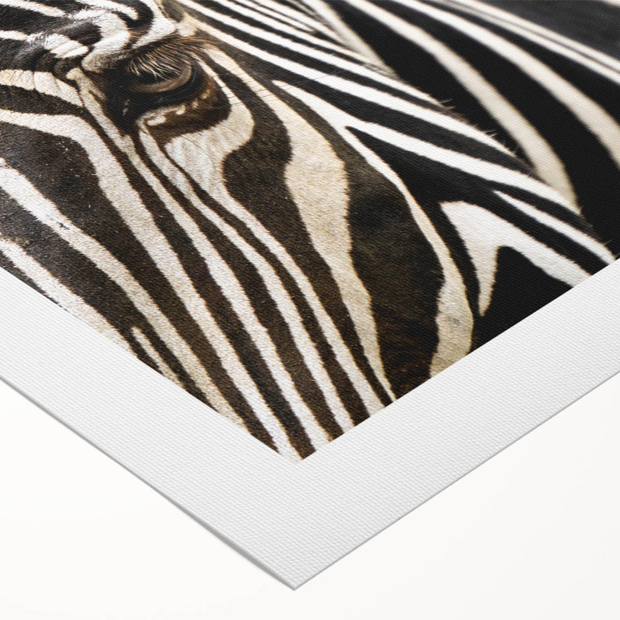 Art deco poster of a vibrant bird in flight on a rolled canvas, suitable for dining room wall art.