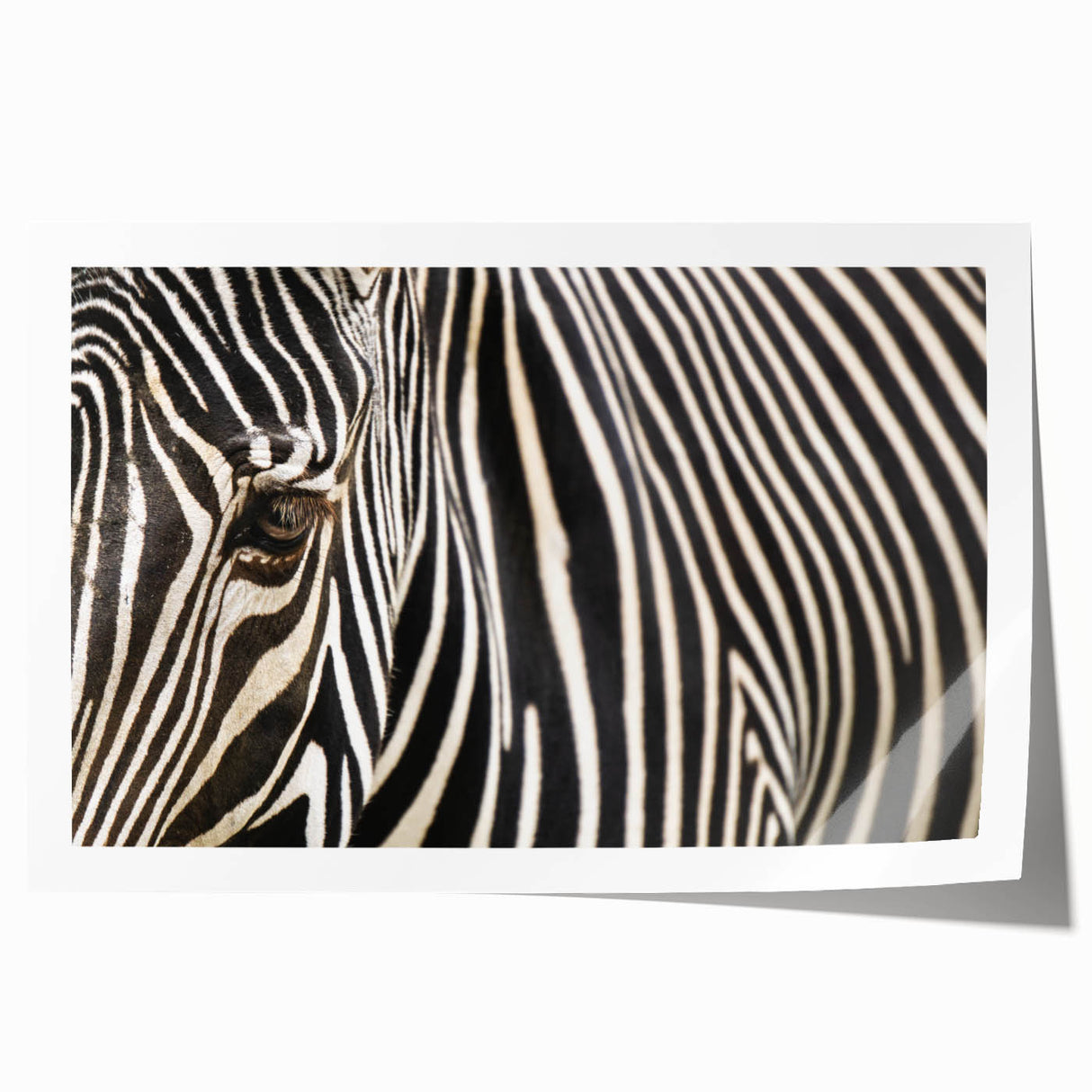 Close-up of a bird on a branch in soft pastel shades on a rolled canvas, ideal for art wall dining room.