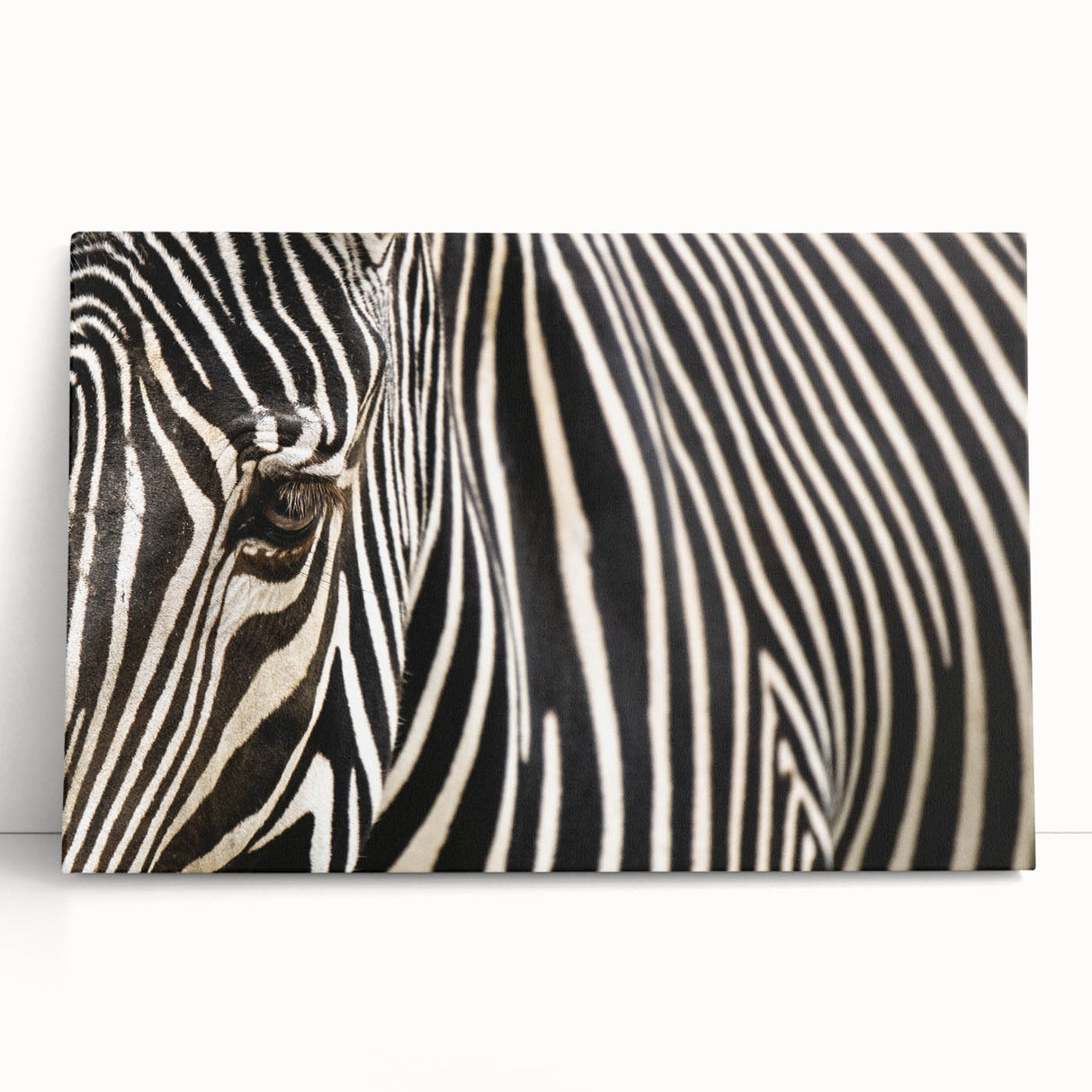 Black and white photo of a bird on stretched canvas, ideal for kitchen wall art or bedroom ambiance.