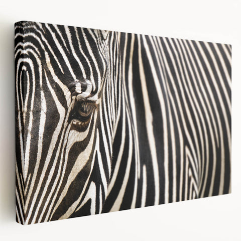 Close-up image of a bird on stretched canvas, featuring natural tones, ideal for kitchen wall art.