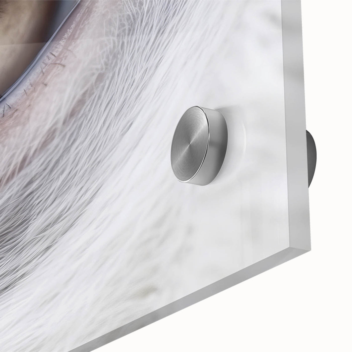 Mid-century modernist large abstract wall art featuring a close-up of a bird in vibrant colors on acrylic glass.