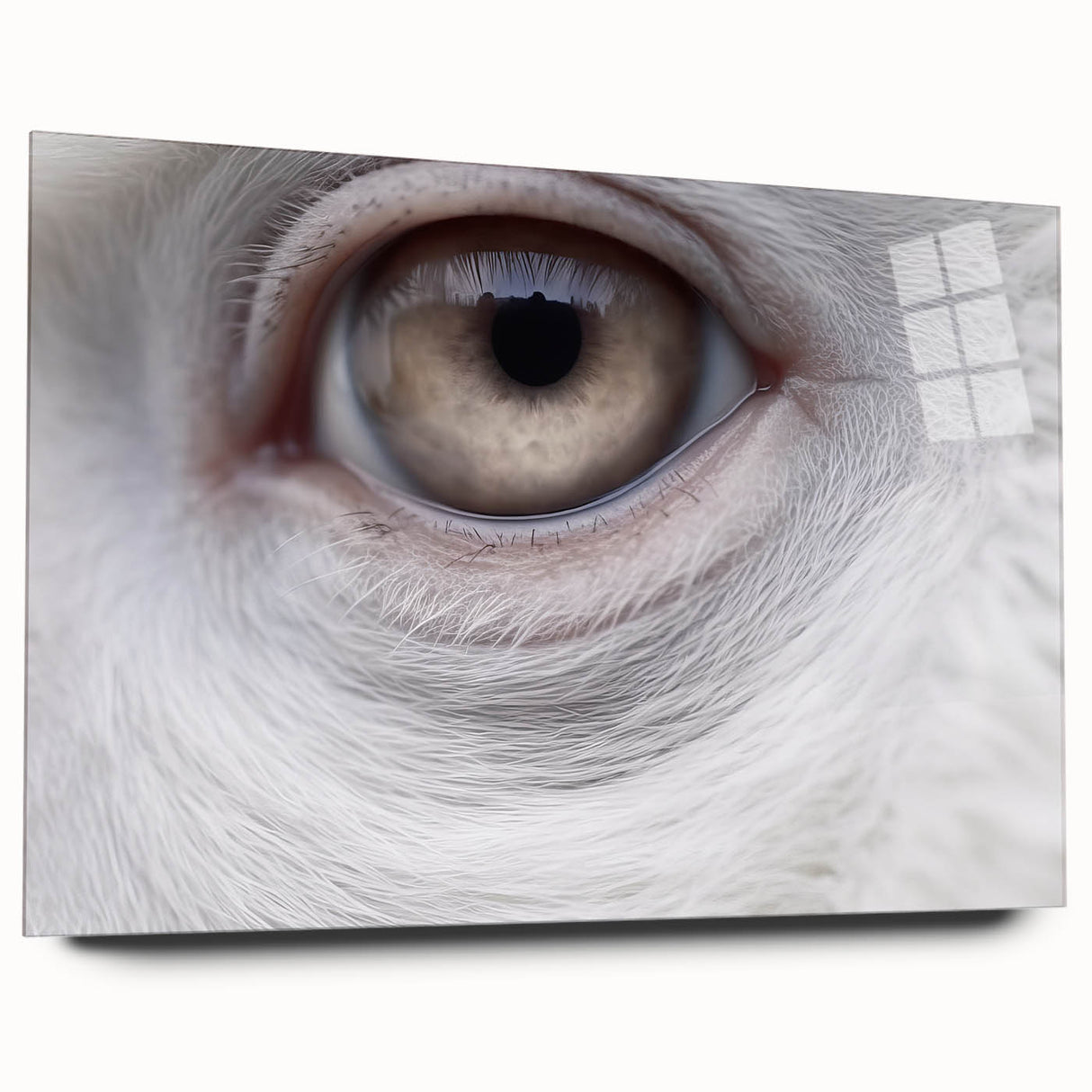 Large abstract wall art of birds in flight, rendered in cool blue and gray tones on acrylic glass.