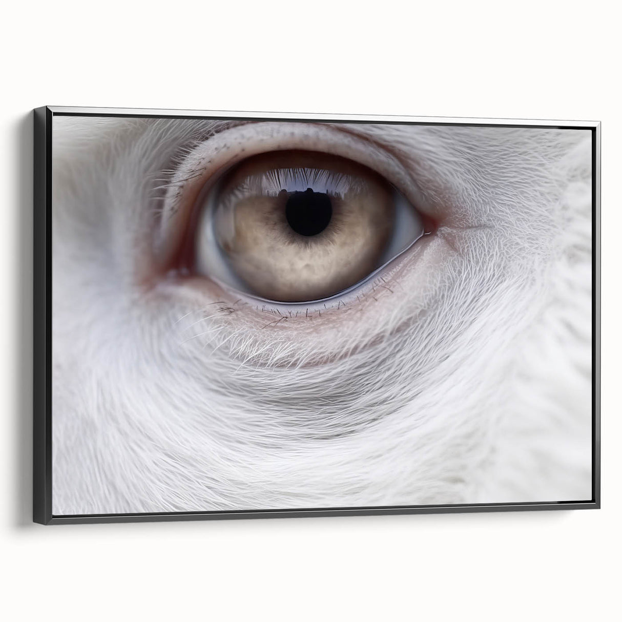 Black and white wall art featuring a close-up of a bird, rendered on framed canvas, ideal for bedroom or living room decor.