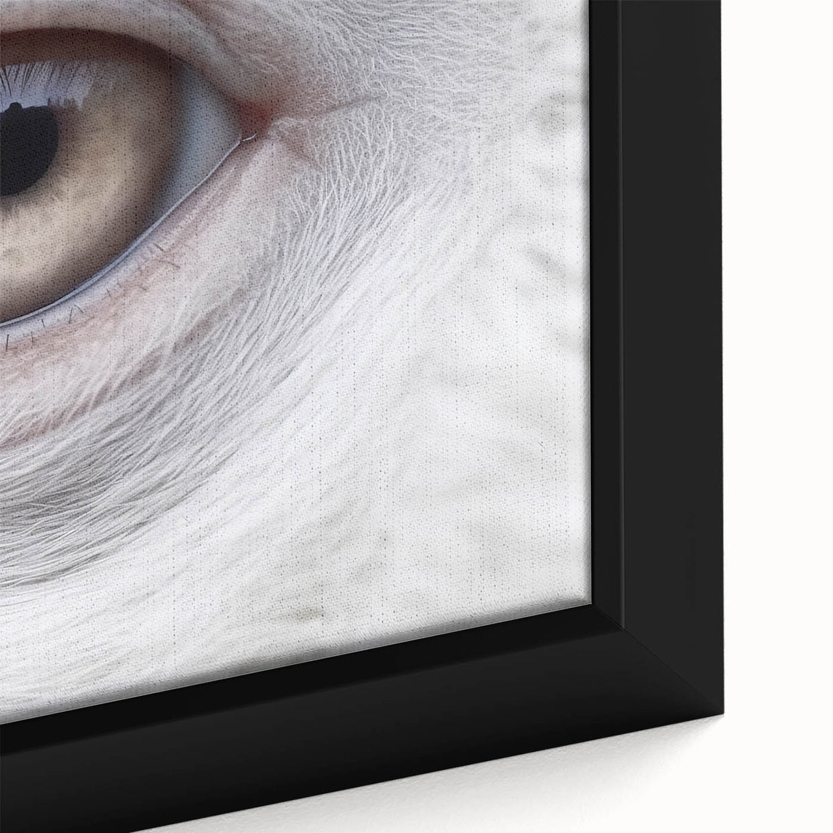 Close-up of a black bird on textured canvas with vibrant, colorful background, ideal for living room decor.