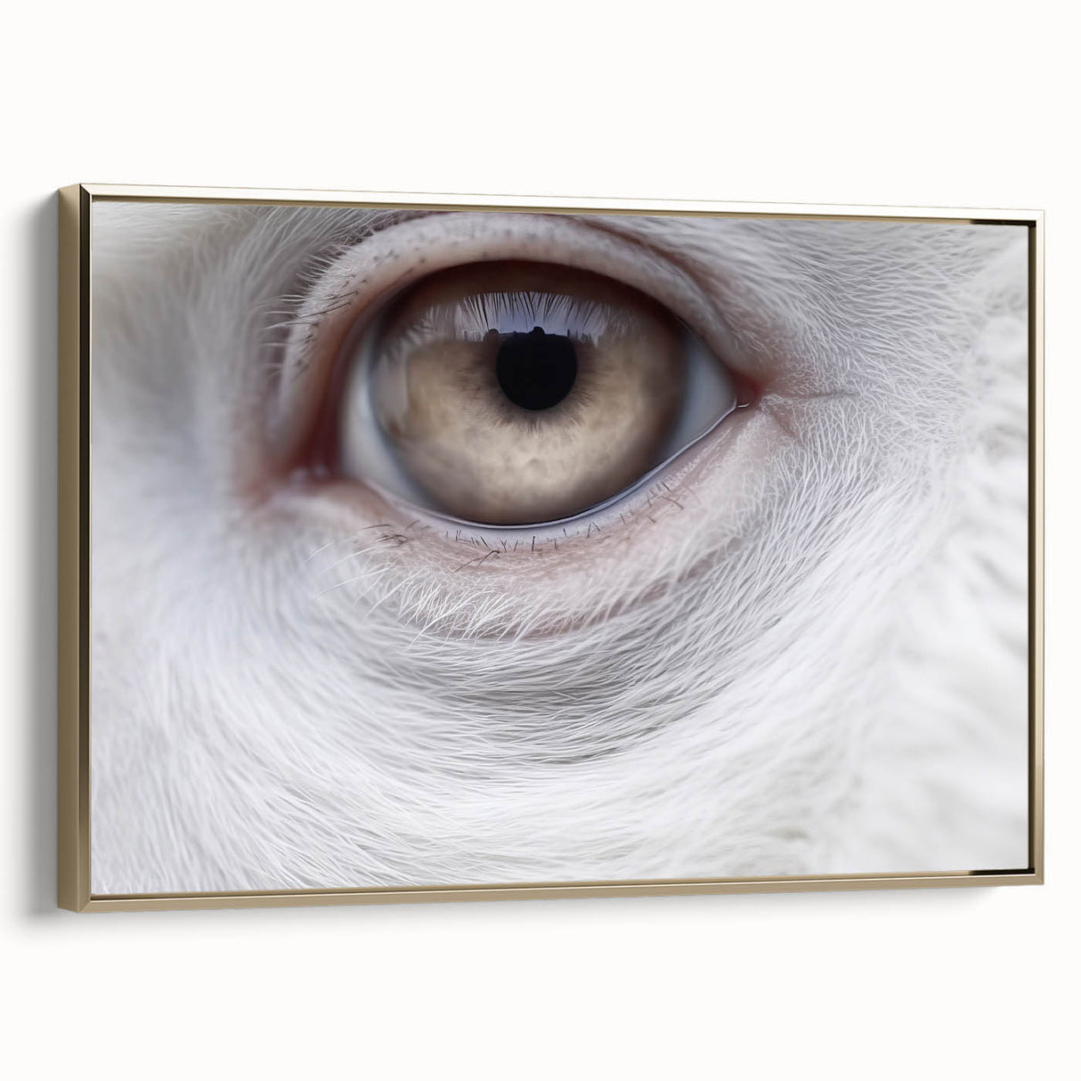 Framed canvas featuring a close-up of a bird in muted earth tones, ideal for bedroom wall decor.
