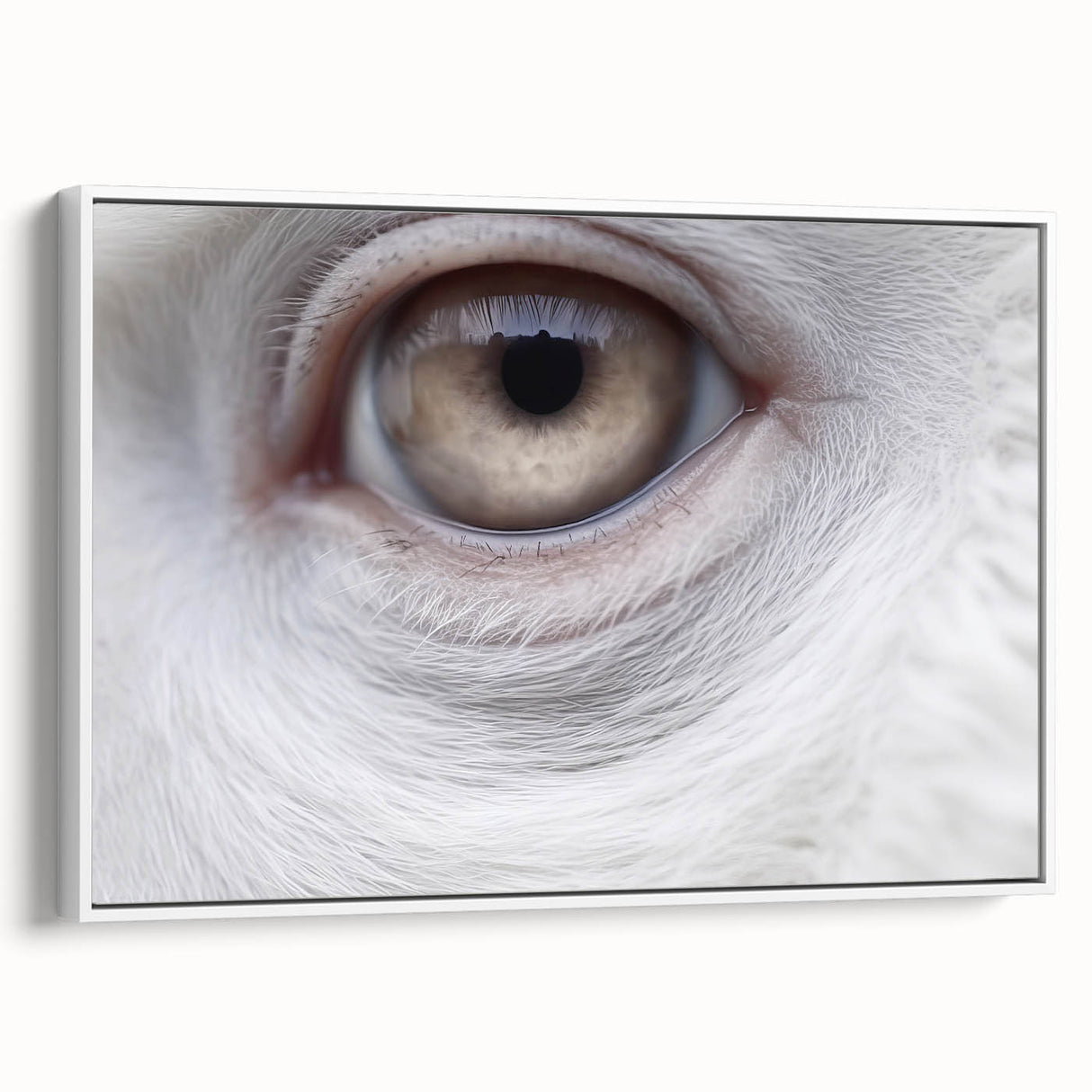 Vintage poster art of colorful birds on a black background, framed canvas, ideal for living room decor.