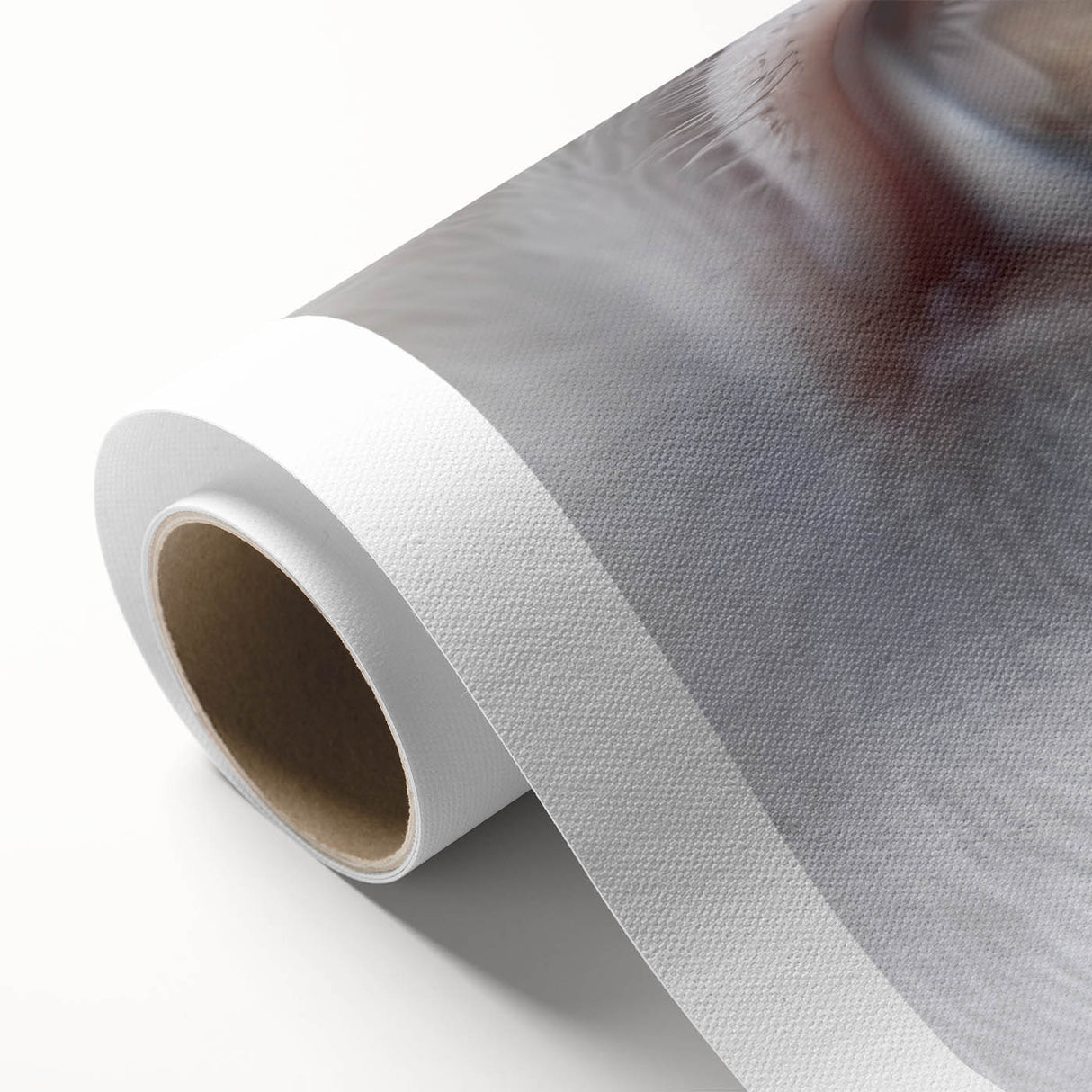 Art deco poster of colorful birds perched on branches, on rolled canvas, ideal for nursery wall art.