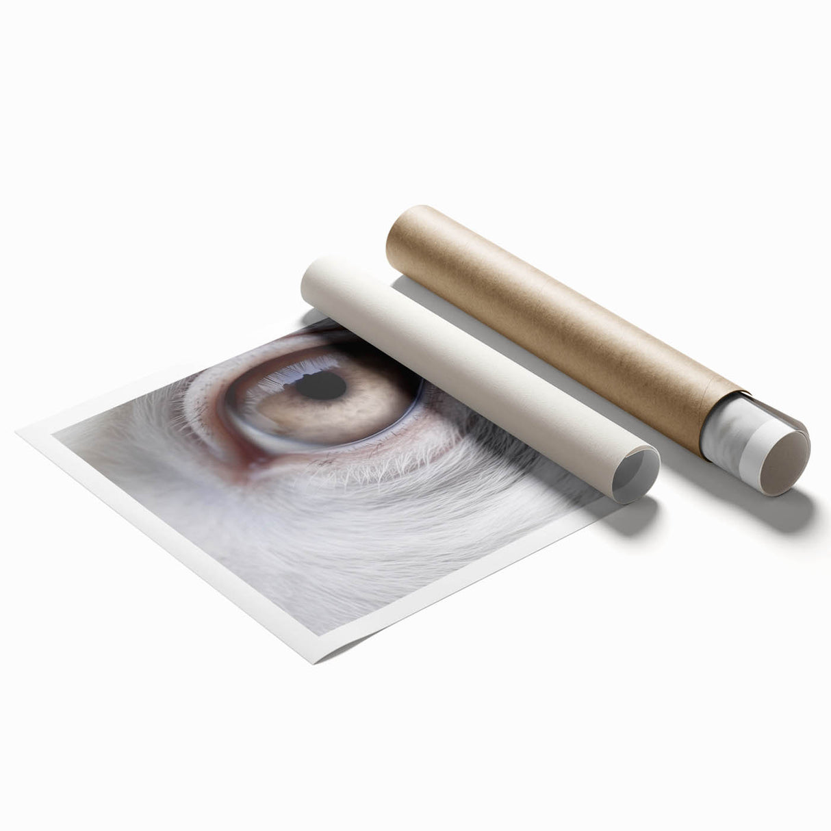 Close-up image of a bird perched on a branch, with soft green and blue background on rolled print.
