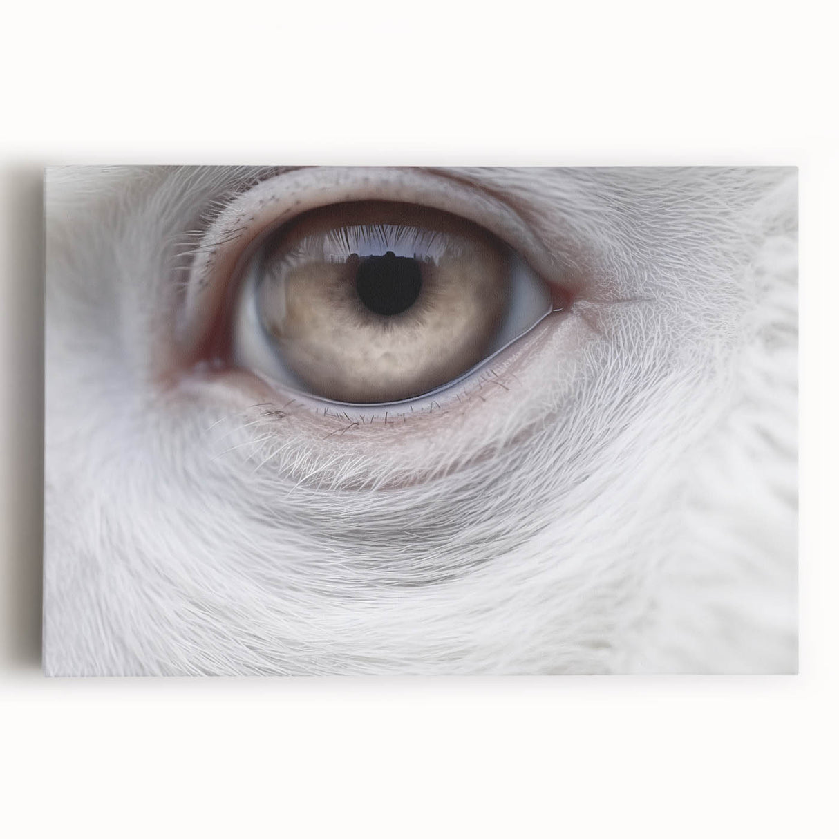 Black and white photo of a bird on stretched canvas, ideal for kitchen wall art.