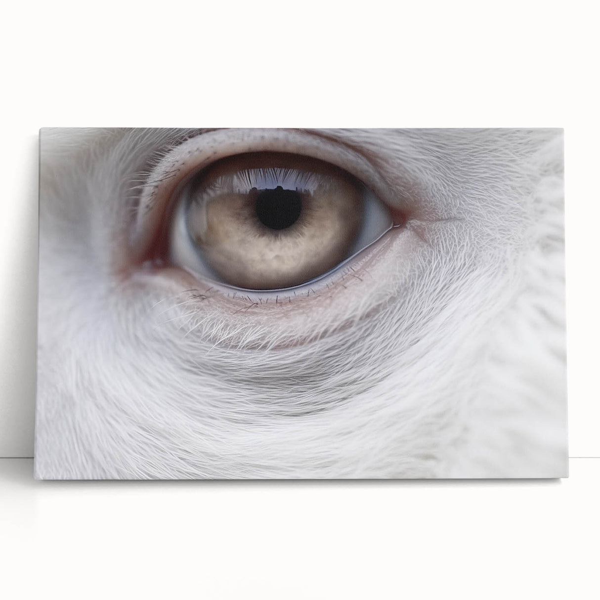 Black and white close-up photo of a bird on stretched canvas, ideal for kitchen wall art or bedroom ambiance.