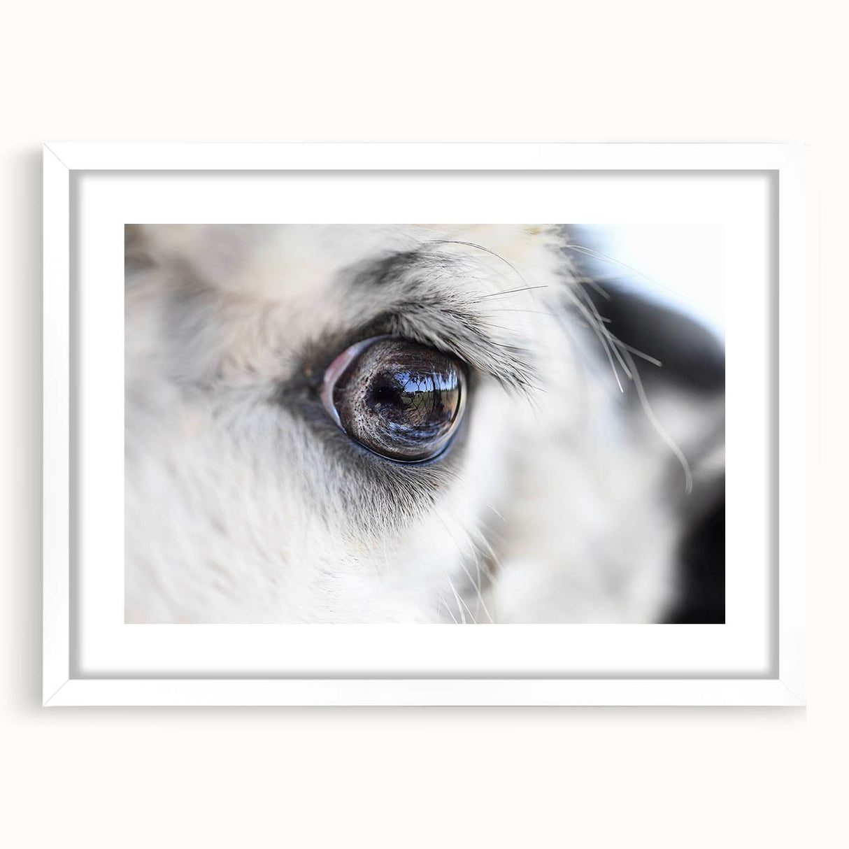 Abstract art print of birds in muted earth tones on a white framed canvas, suitable for bedroom or dining room decor.