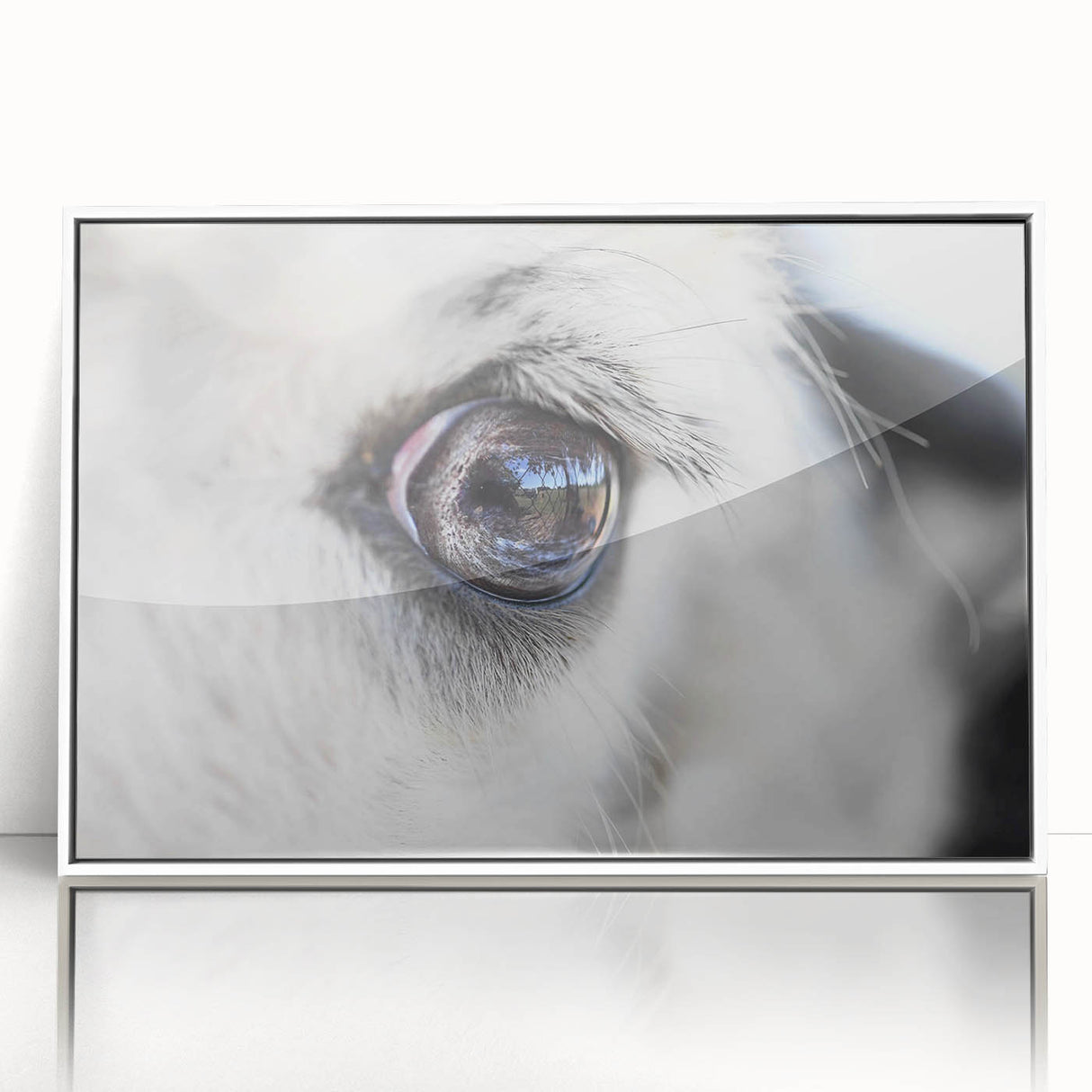 Art deco poster of colorful birds in flight, acrylic framed, ideal for nursery wall decor.